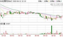 体彩今日爆料最新消息新闻,最新赛事动态及热点新闻速递
