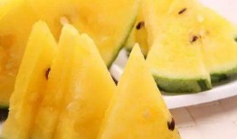 网红瓜去哪里吃最好吃,揭秘全国最佳品尝地