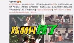 韩国爆料李楷灿视频,事件细节引发热议