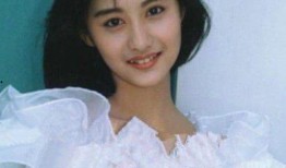 陈德容爆料大哥视频播放,真相究竟如何？