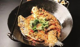 六菜最新爆料视频大全