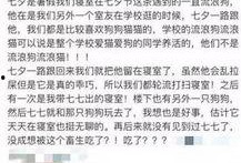 成都新闻爆料找谁,聚焦城市热点，揭秘事件真相