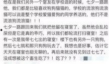 成都新闻爆料找谁,聚焦城市热点，揭秘事件真相