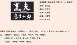 烹夫1993在线观看,穿越时空的美食传奇