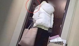 思媛吃瓜视频大全集免费观看,免费畅享娱乐盛宴