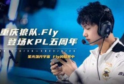 fly爆料视频,带你一探究竟