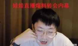 解说娃娃被爆料视频,揭秘背后真相