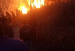 狮子山爆料视频播放全集,揭秘全集背后的惊人真相