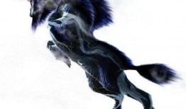 野生麒麟爆料图鉴最新