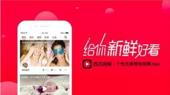 娱乐吃瓜酱视频边框,揭秘热门视频边框背后的故事